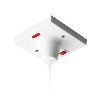 BG 45A Double Pole Ceiling Switch with Indicator