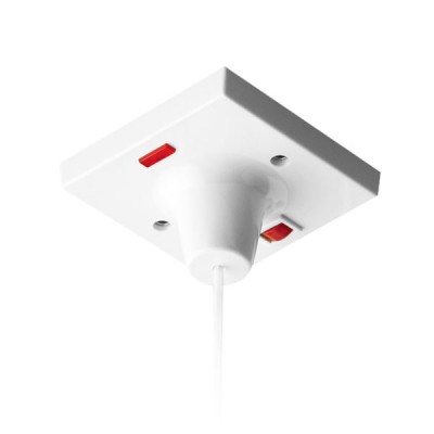 BG 45A Double Pole Ceiling Switch with Indicator