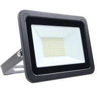 50W AC LED Floodlight Black IP65 4000K