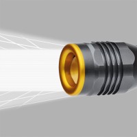 Torches / Flashlights