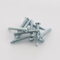 BG Nexus 28mm Spare Screws