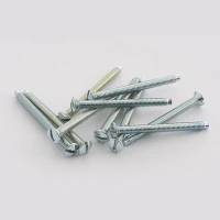 BG Nexus 38mm Spare Screws