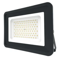 LED Basic Black Aluminium Floodlight 4000K 100w