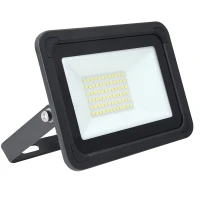 30W AC LED Floodlight Black IP65 4000K