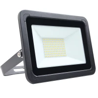 50W AC LED Floodlight Black IP65 4000K